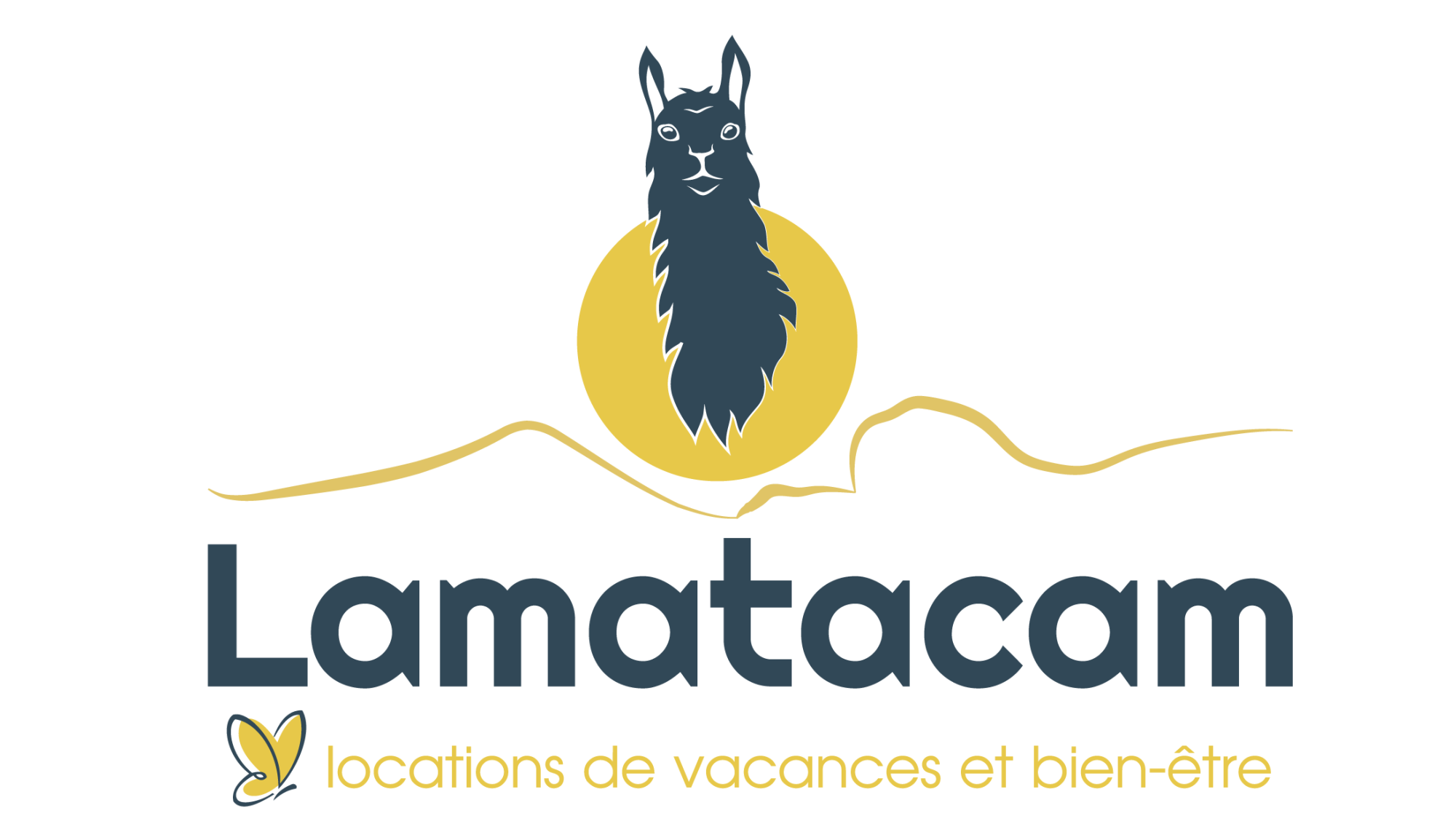 creation logo, logotype, web design revel