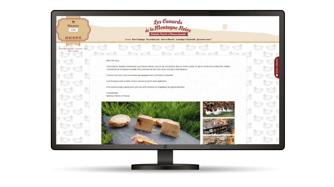 CRM personnalisé, site web, référencement, 20 ans d'expérience à Revel